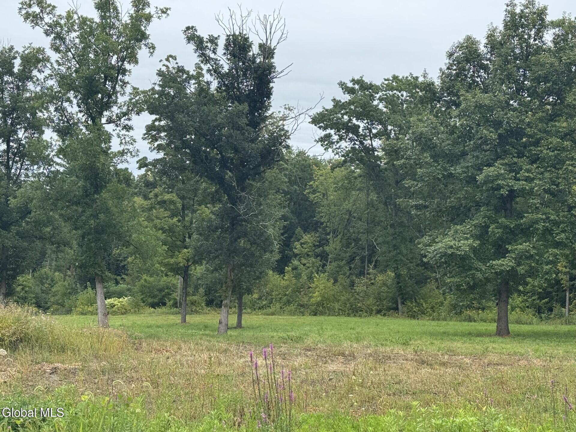 L 27.2 Route 32n Gansevoort NY 12831