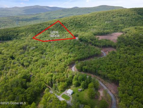 3 Galway Road Windham NY 12496