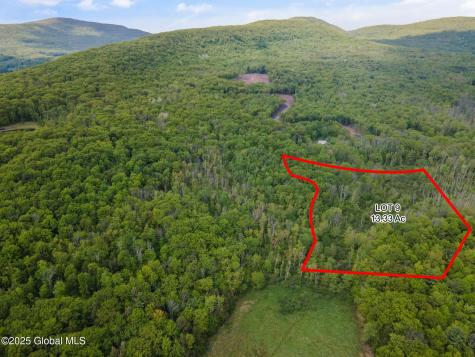 3 Galway Road Windham NY 12496