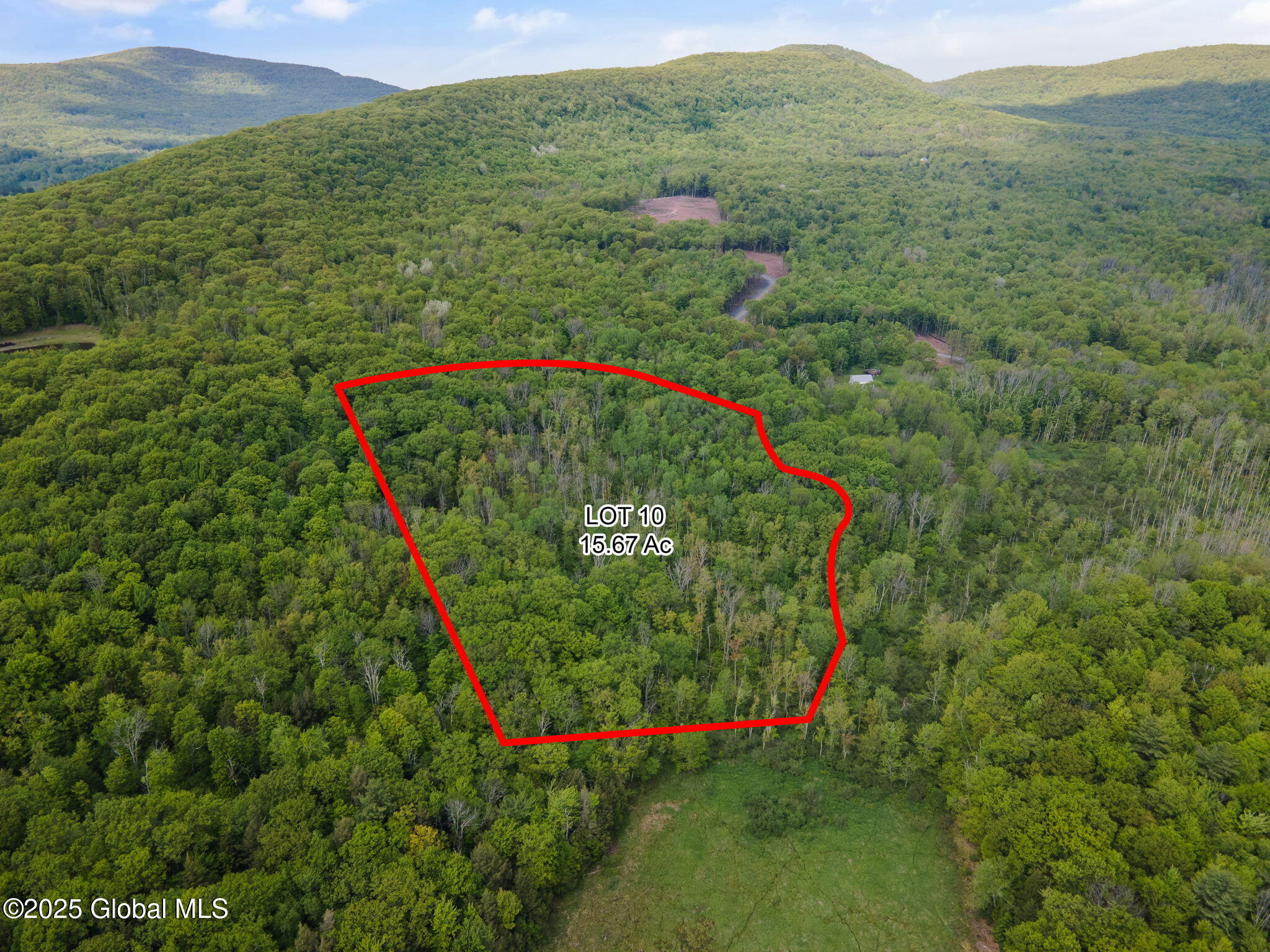3 Galway Road Windham NY 12496