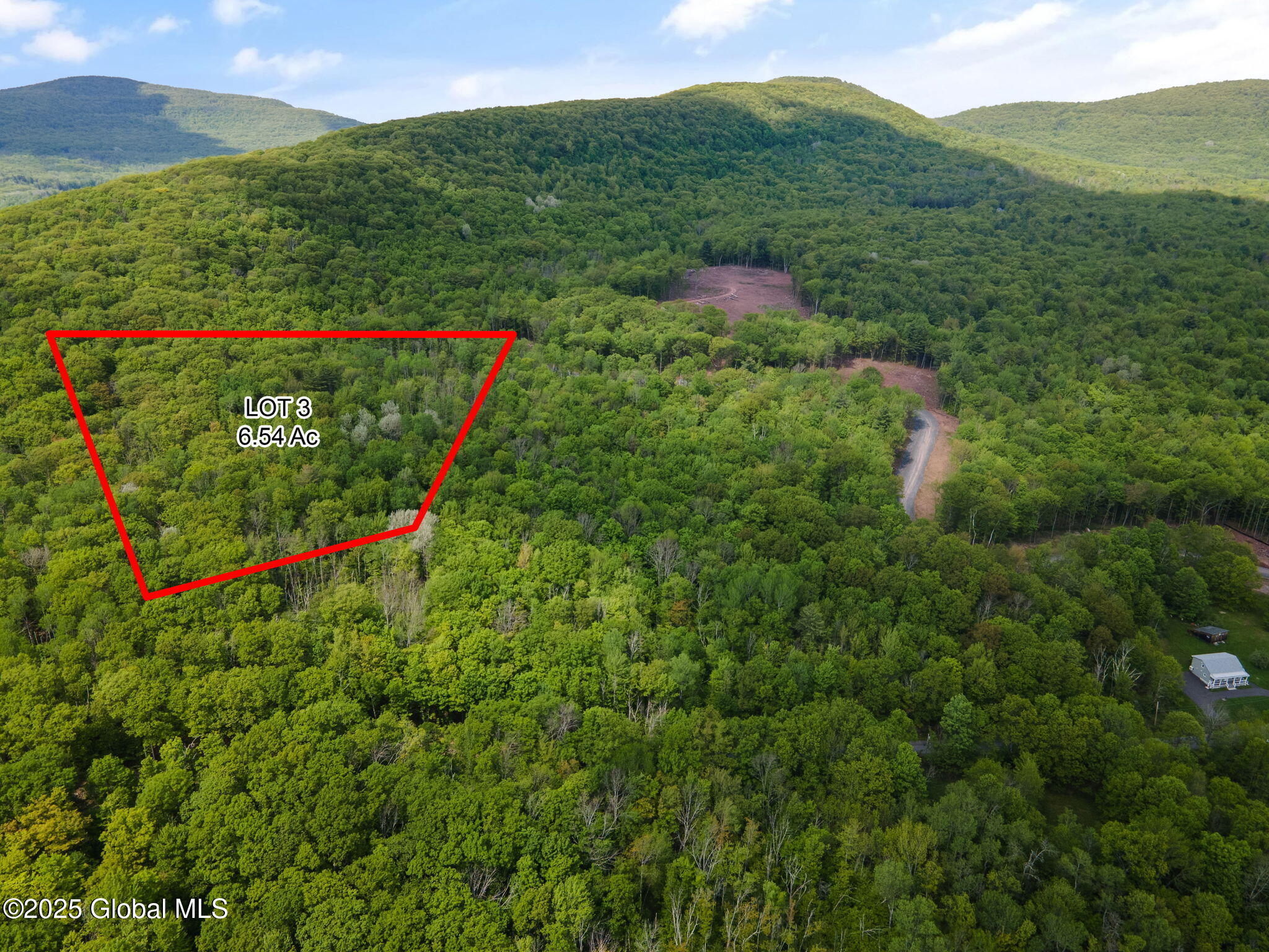 3 Galway Road Windham NY 12496