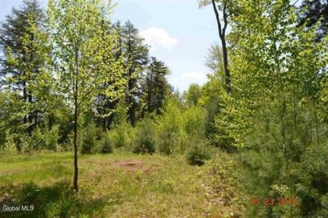 23 Hemlock Ridge Lane Bolton NY 12814