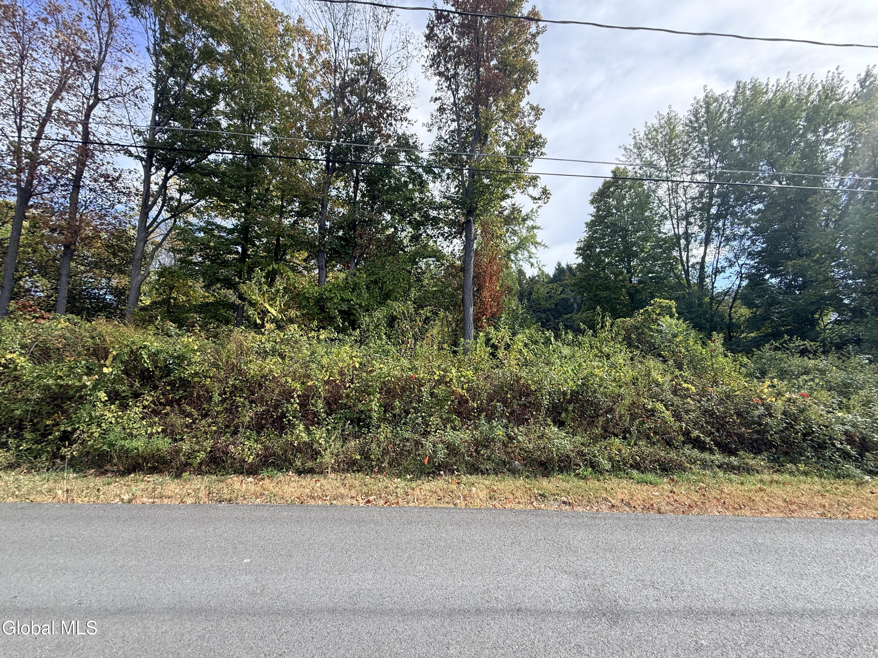 L27 Dusenberry Lane Troy NY 12180