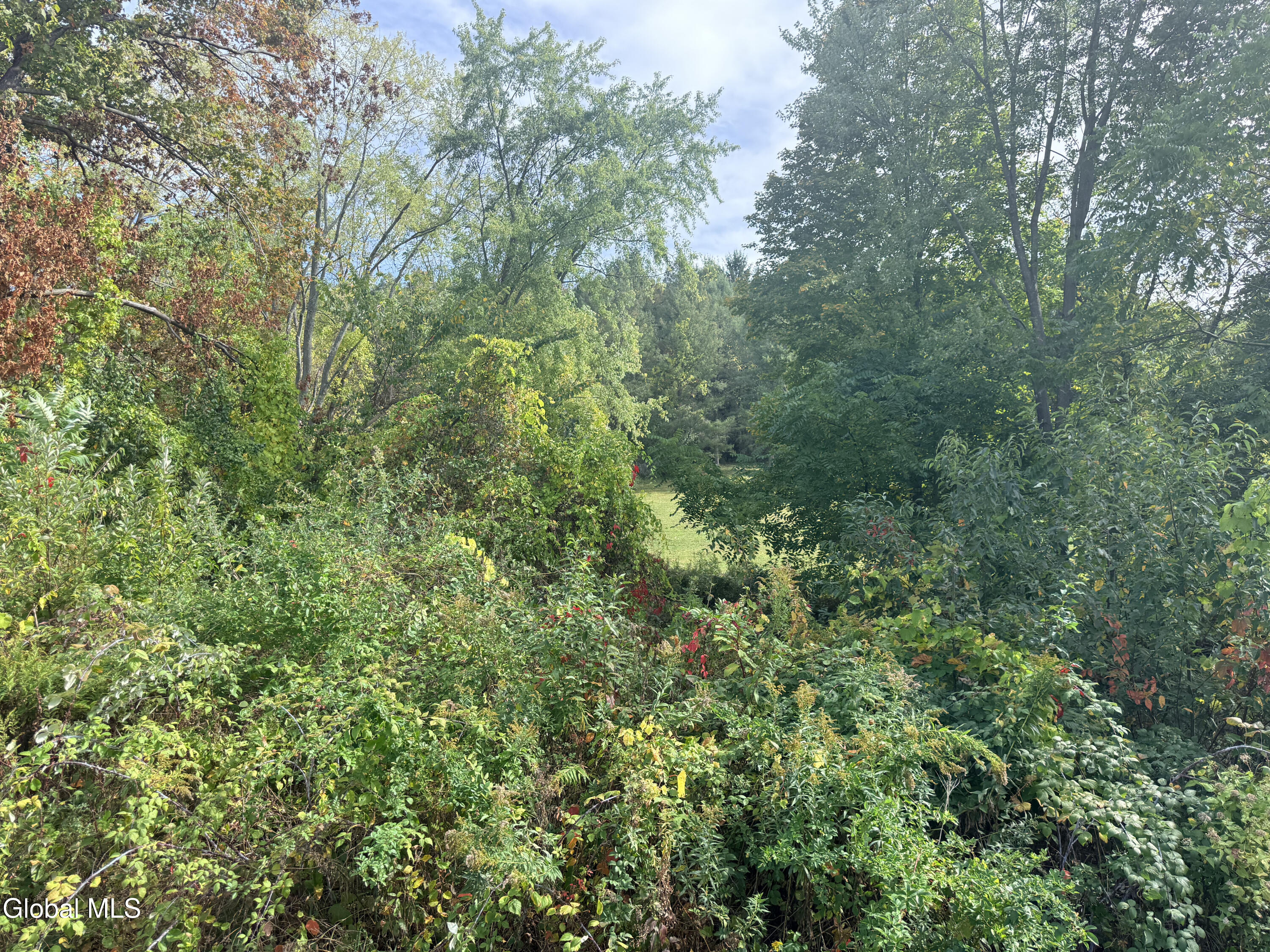L27 Dusenberry Lane Troy NY 12180
