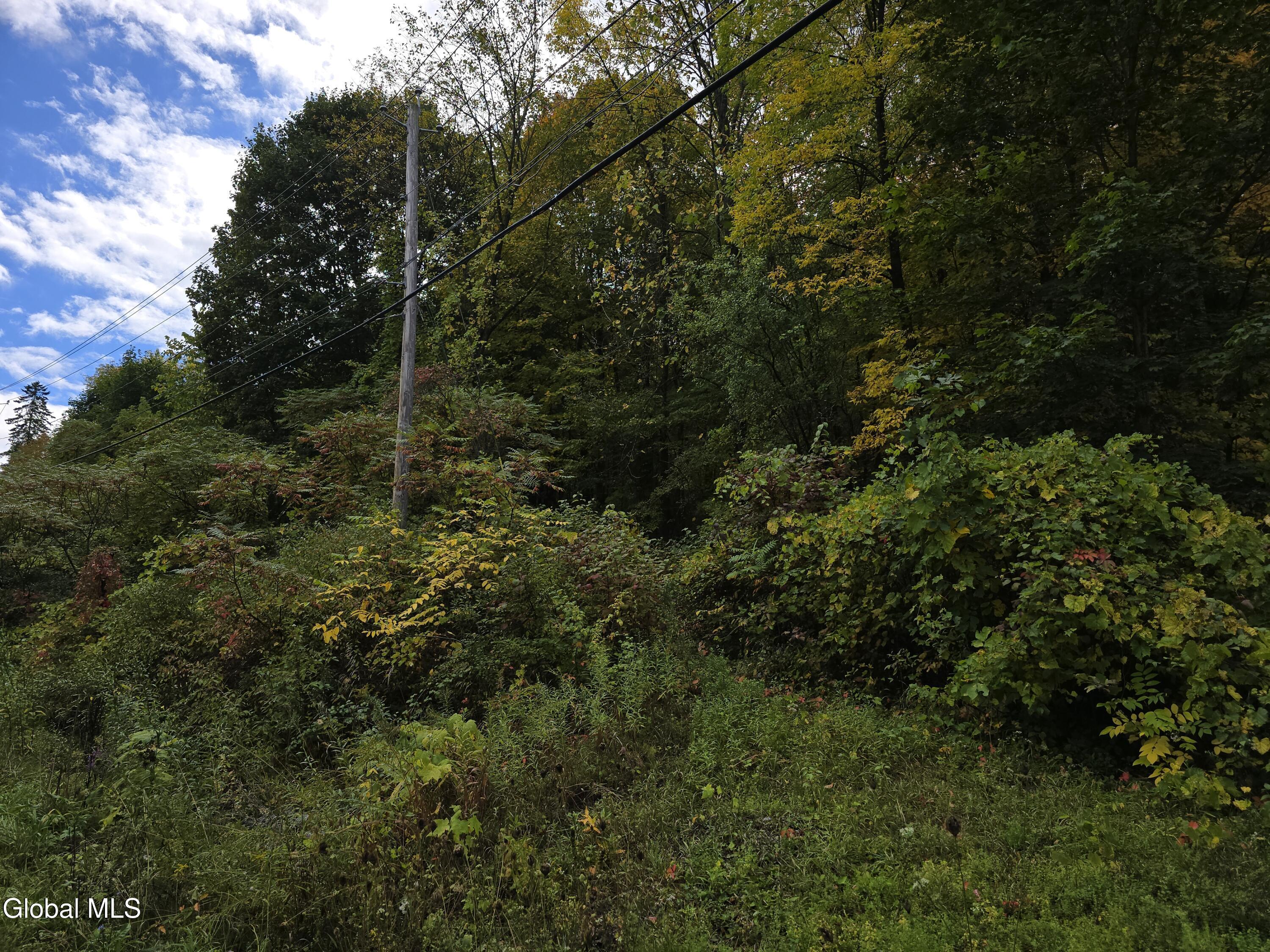 L25 River Road Ticonderoga NY 12883