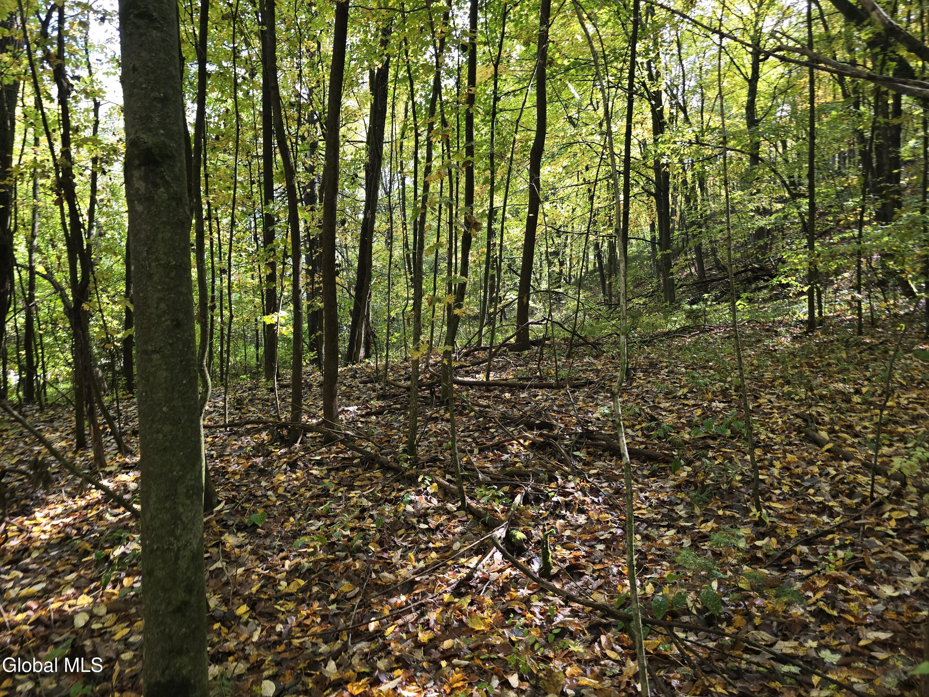 L25 River Road Ticonderoga NY 12883
