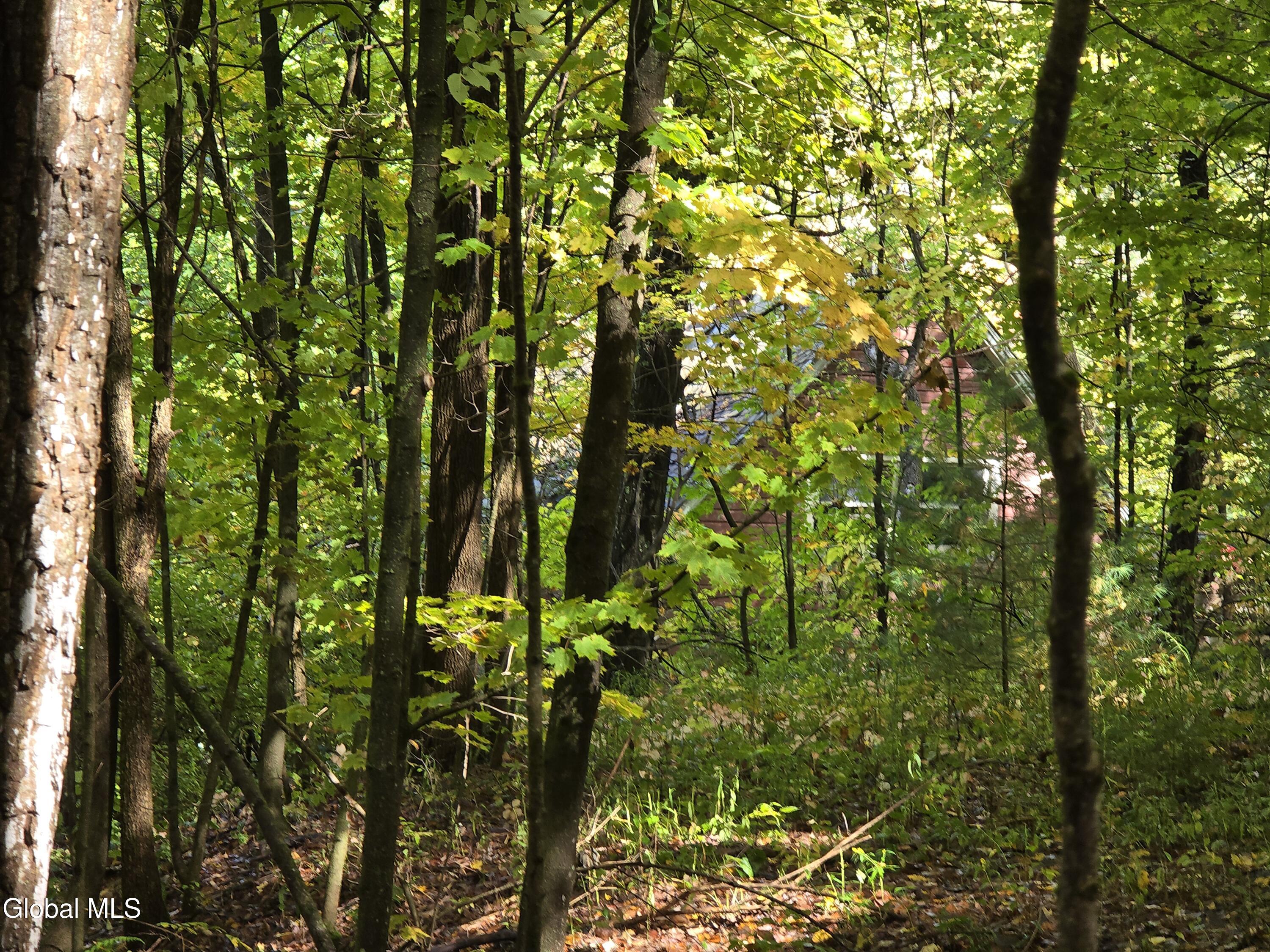 L25 River Road Ticonderoga NY 12883