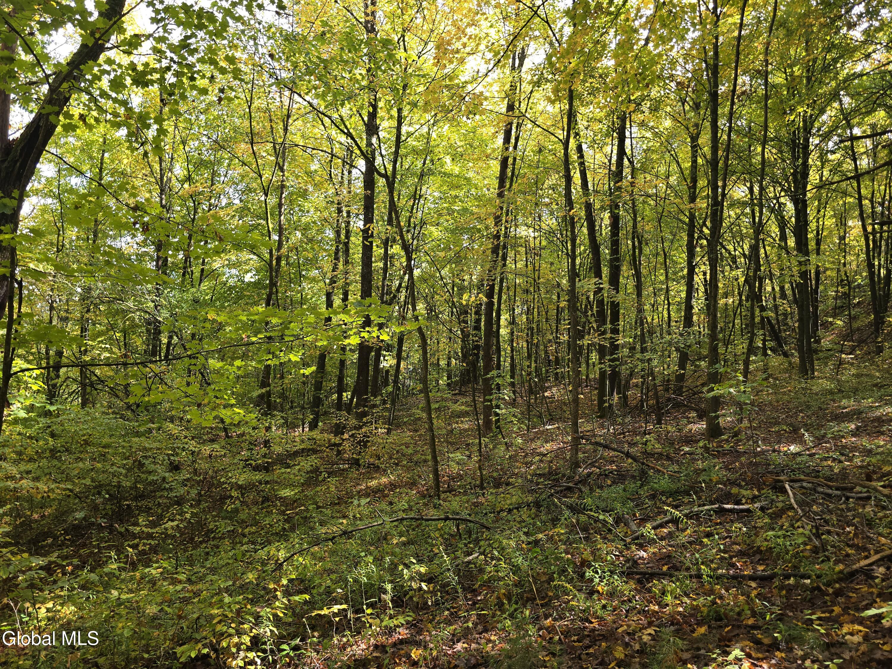 L25 River Road Ticonderoga NY 12883