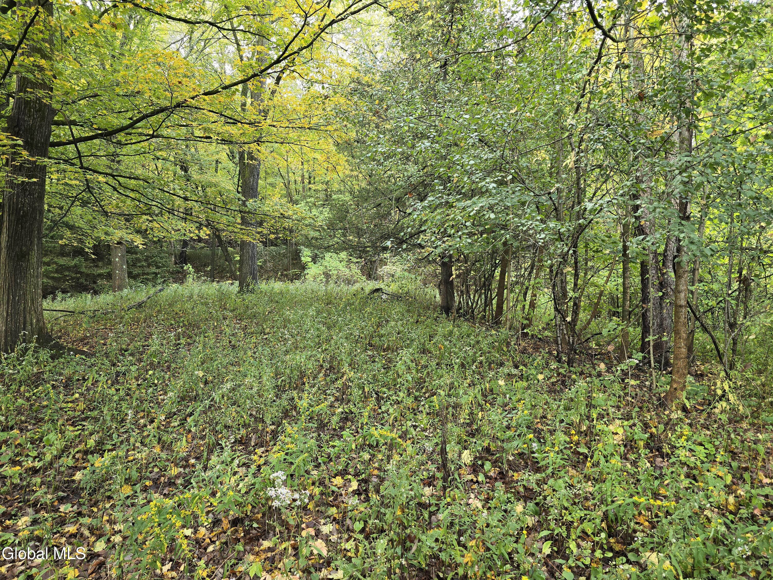 L25 River Road Ticonderoga NY 12883