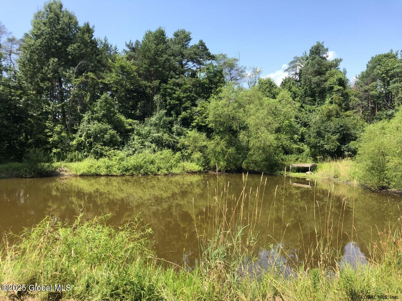 76 Ashdown Road Ballston Lake NY 12019