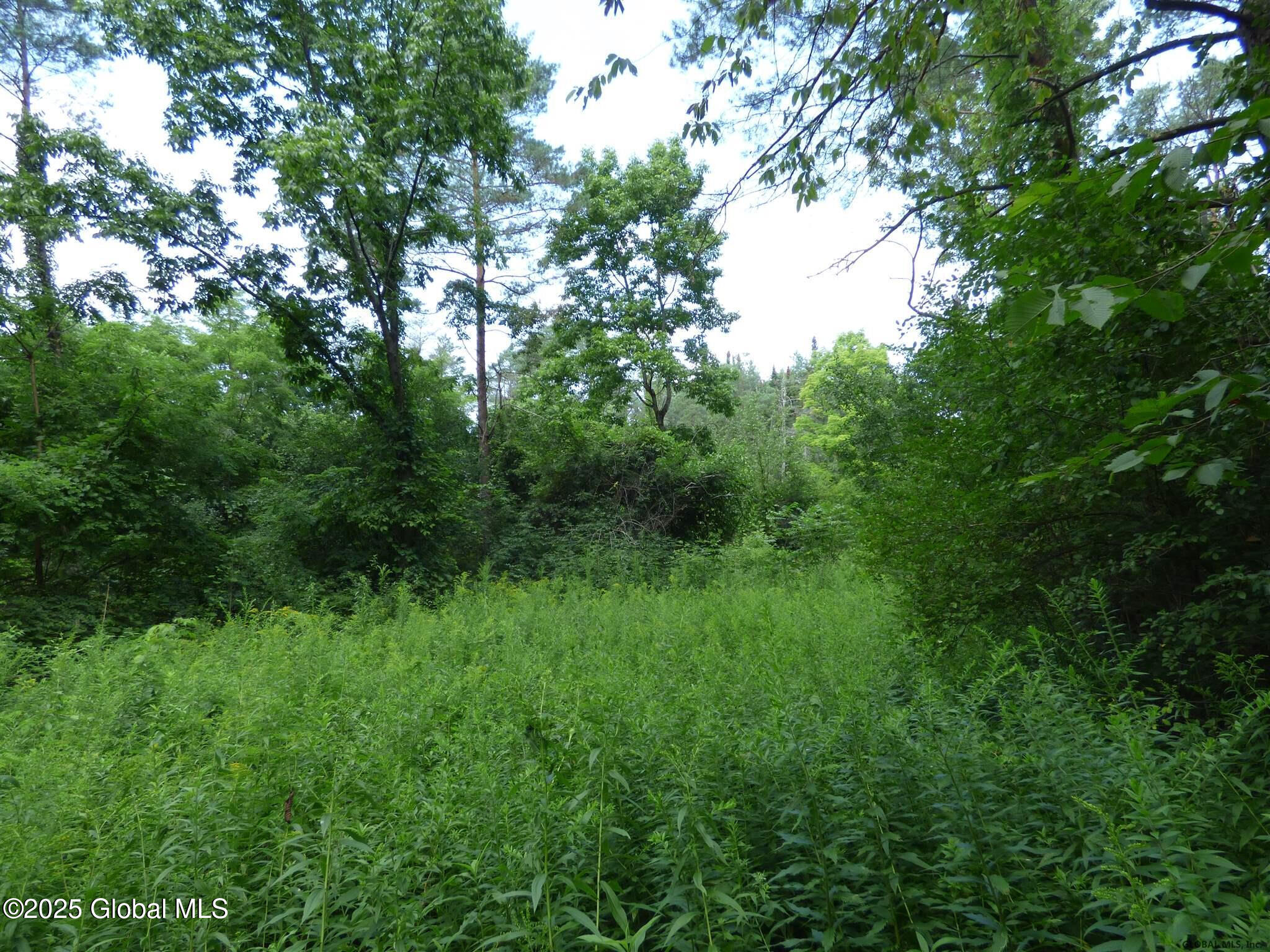 76 Ashdown Road Ballston Lake NY 12019