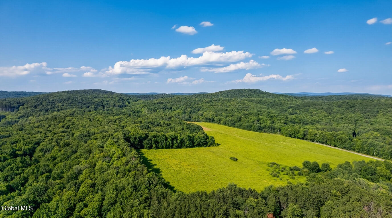 L14.01 Hinman Road Cooperstown NY 13326