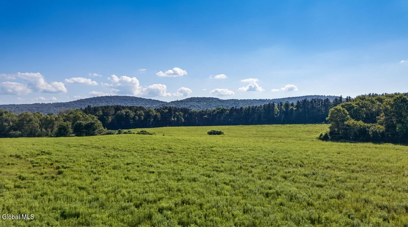 L14.01 Hinman Road Cooperstown NY 13326