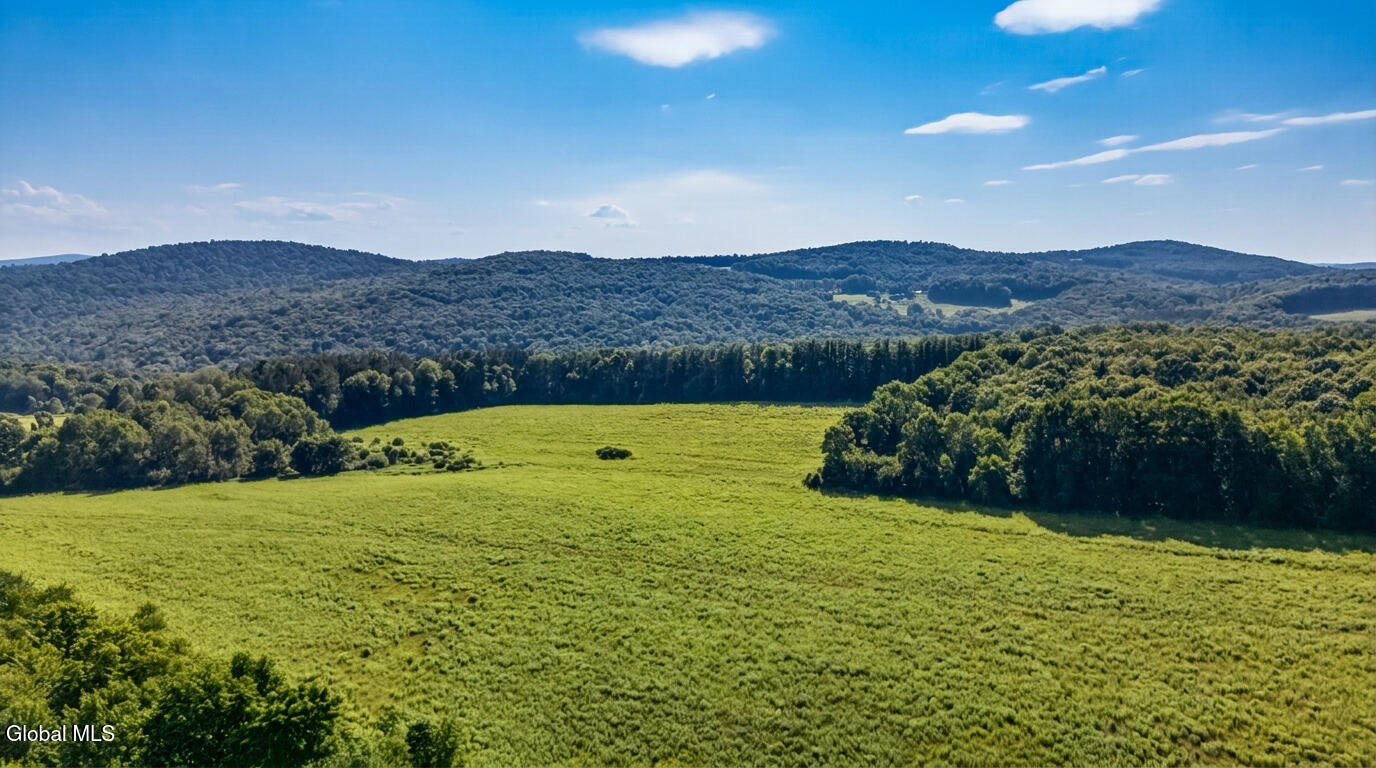 L14.01 Hinman Road Cooperstown NY 13326