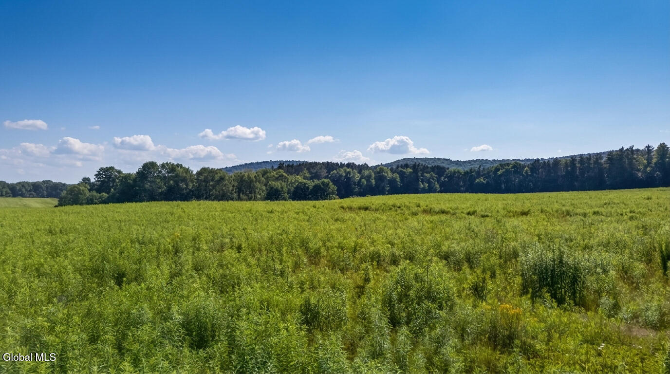 L14.01 Hinman Road Cooperstown NY 13326