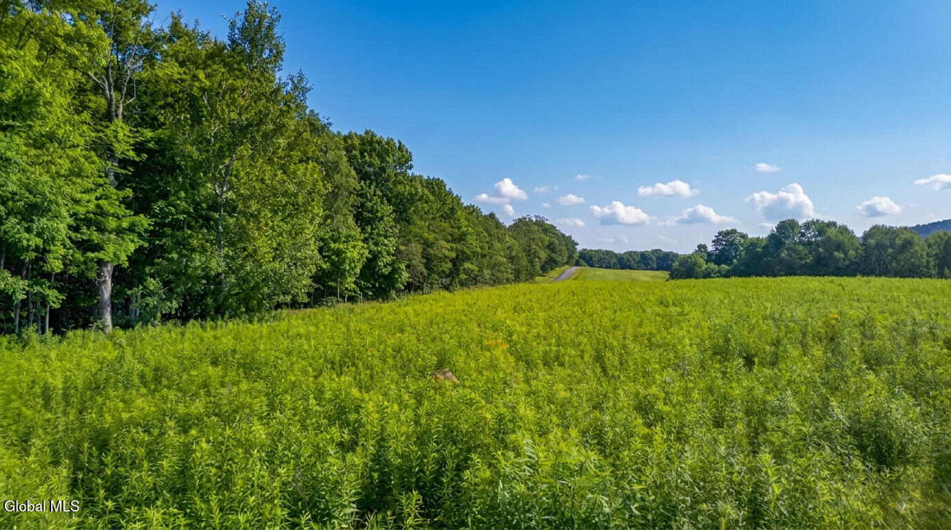 L14.01 Hinman Road Cooperstown NY 13326