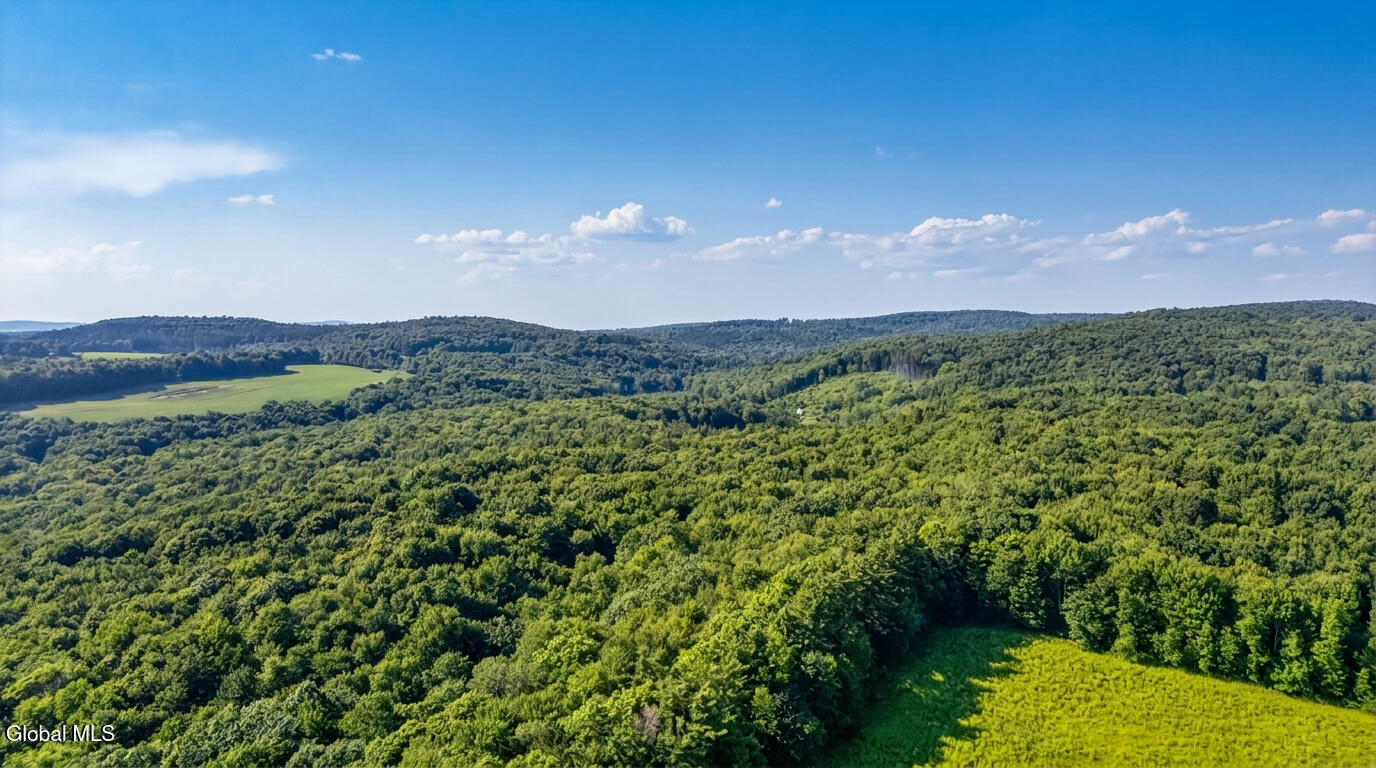 L14.01 Hinman Road Cooperstown NY 13326