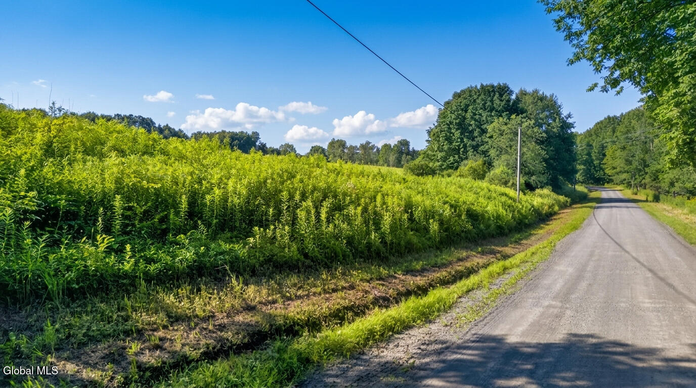 L14.01 Hinman Road Cooperstown NY 13326