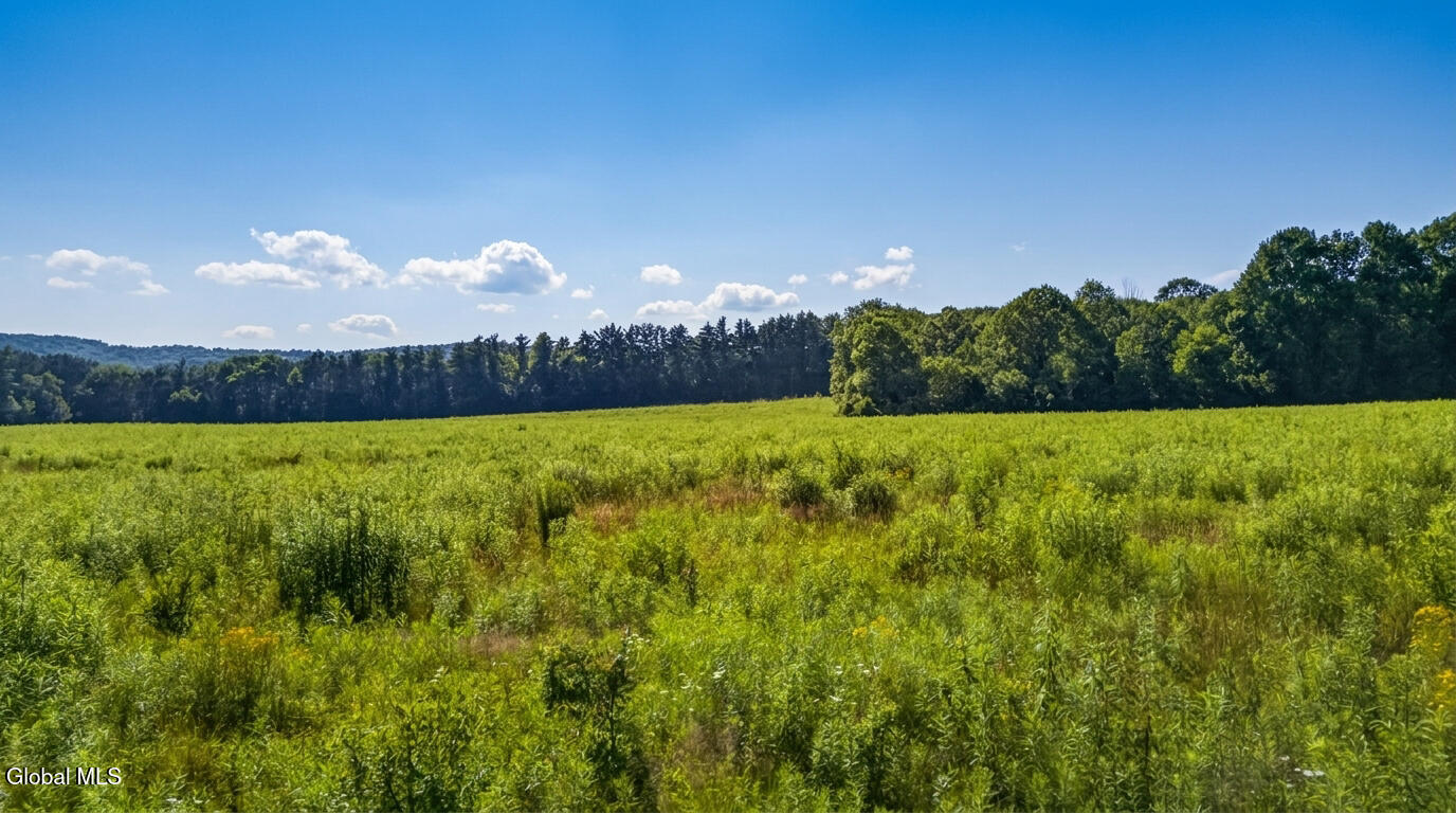 L14.01 Hinman Road Cooperstown NY 13326