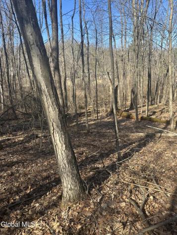 162 Cramer Road Malta NY 12020