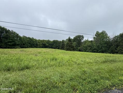 0 Cook Road Conesville NY 12076