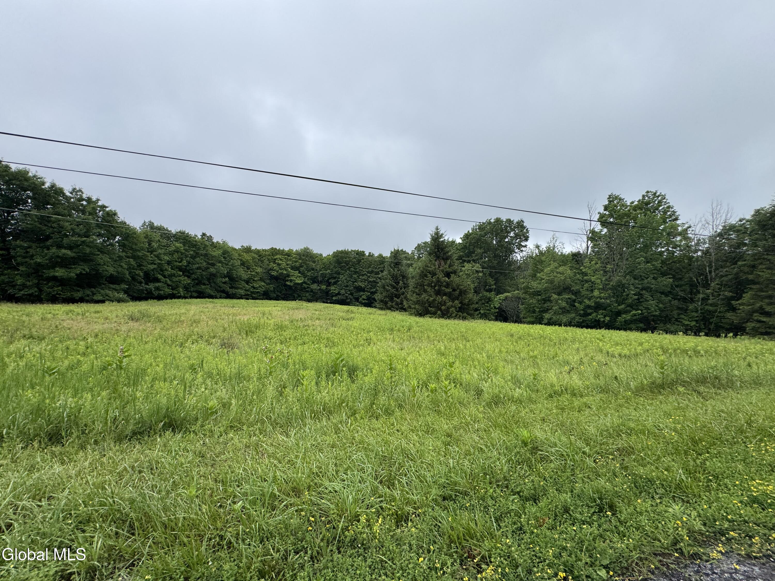 0 Cook Road Conesville NY 12076