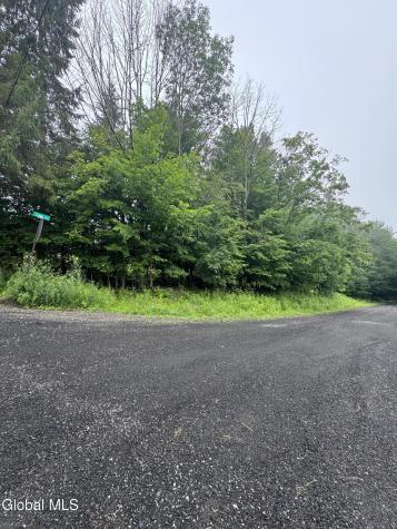 0 Cook Road Conesville NY 12076