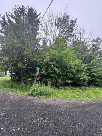 0 Cook Road Conesville NY 12076