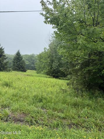 0 Cook Road Conesville NY 12076