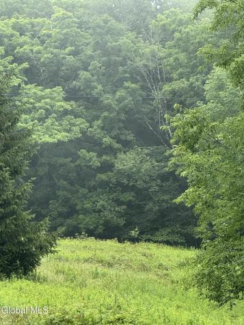 0 Cook Road Conesville NY 12076