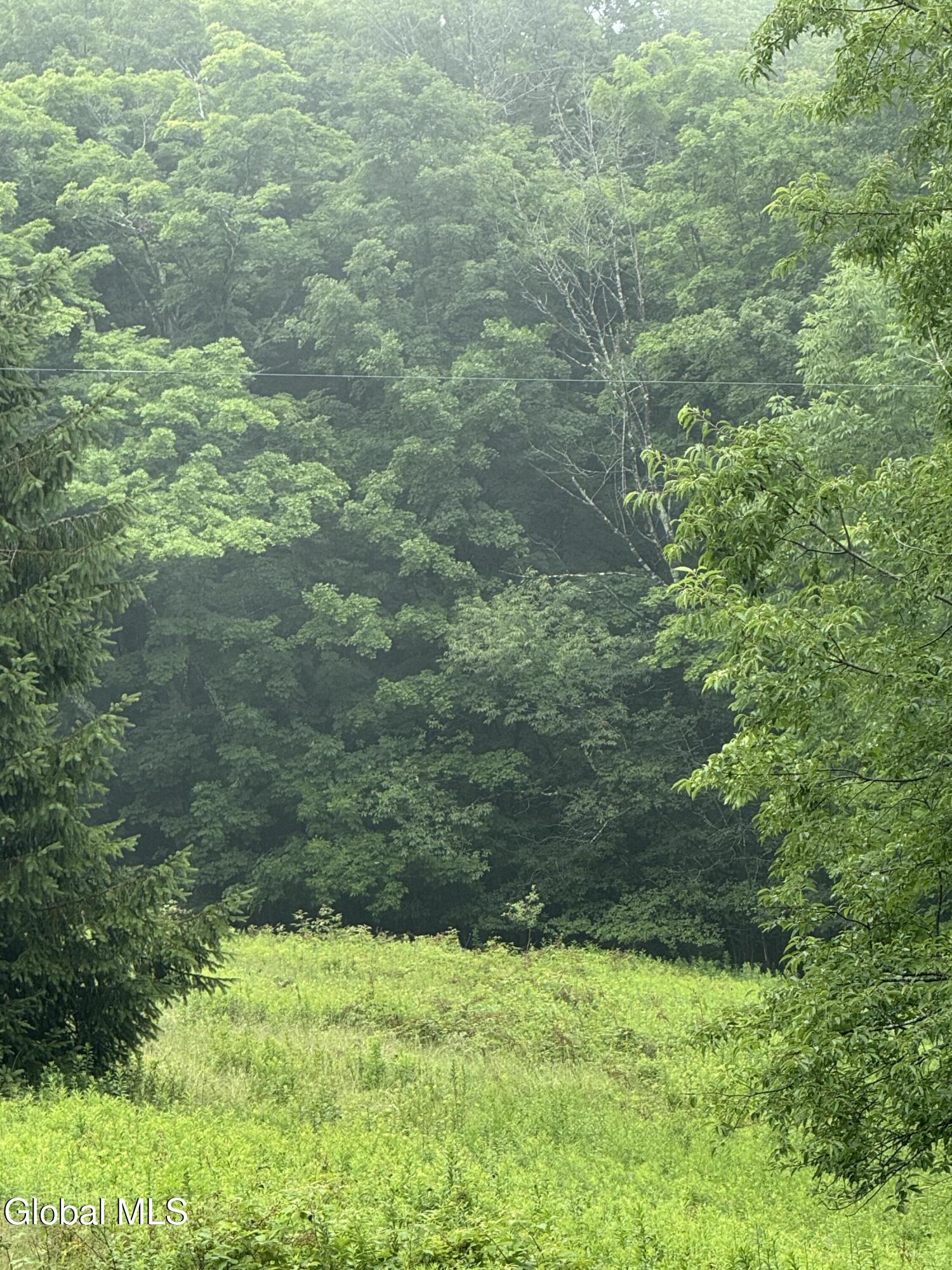 0 Cook Road Conesville NY 12076