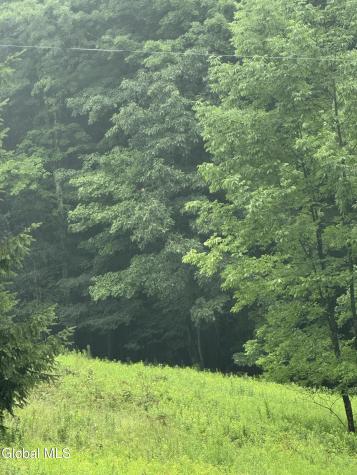 0 Cook Road Conesville NY 12076