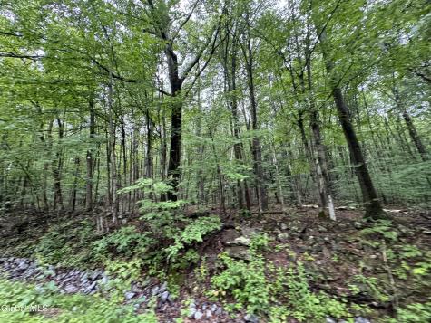0 Cook Road Conesville NY 12076