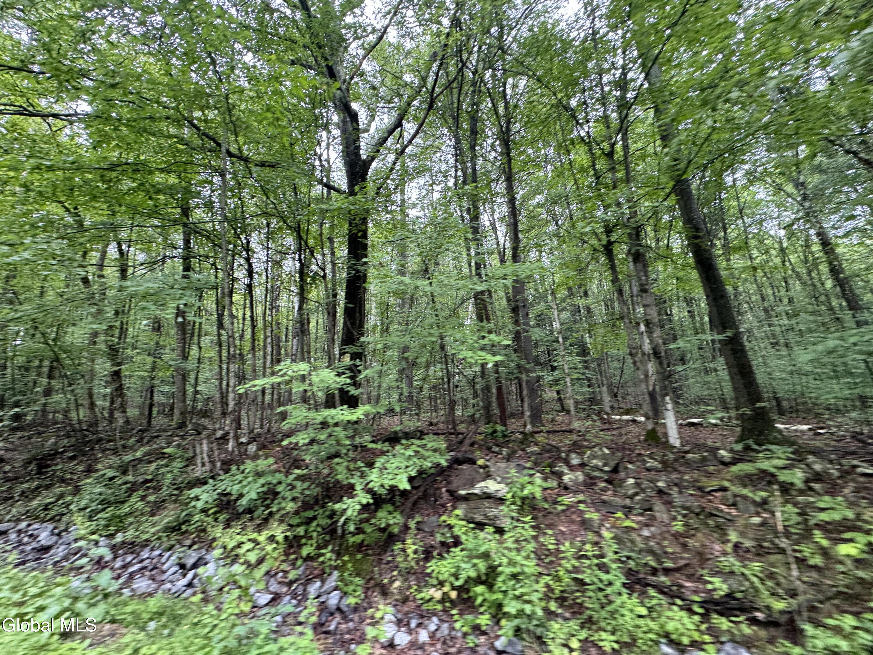0 Cook Road Conesville NY 12076