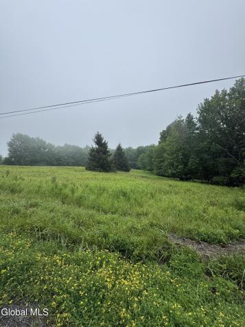 0 Cook Road Conesville NY 12076