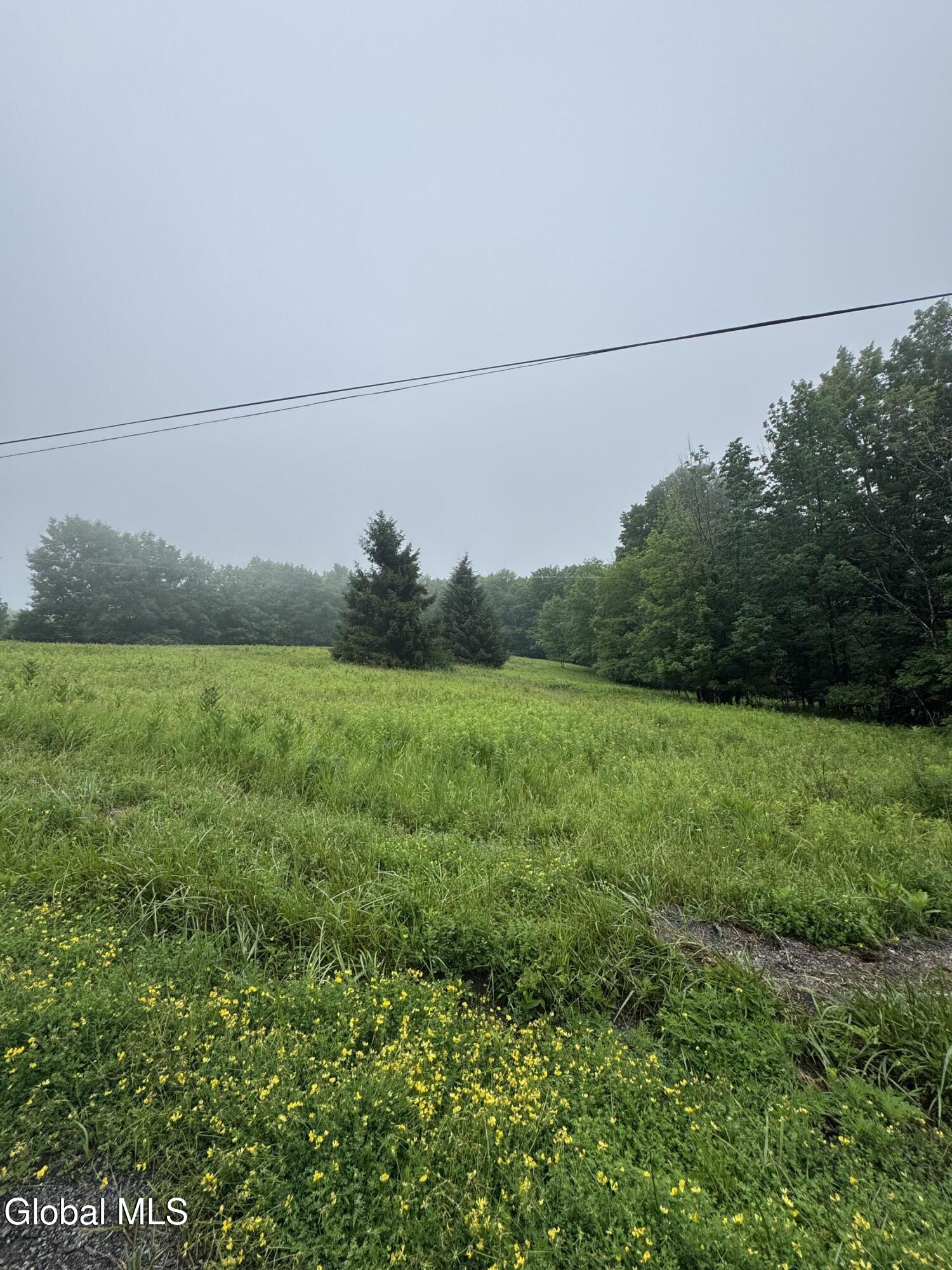 0 Cook Road Conesville NY 12076