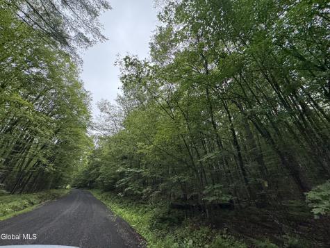 0 Cook Road Conesville NY 12076