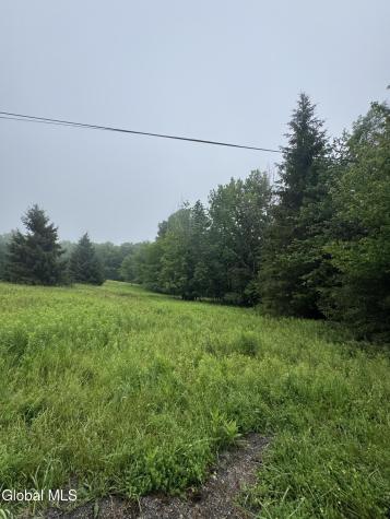 0 Cook Road Conesville NY 12076