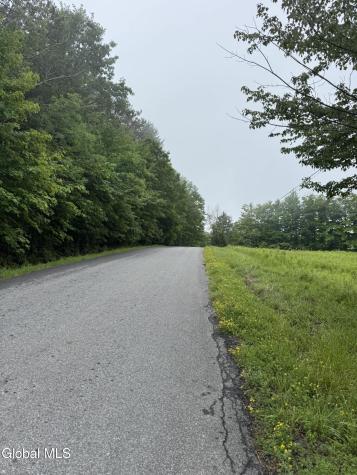 0 Cook Road Conesville NY 12076
