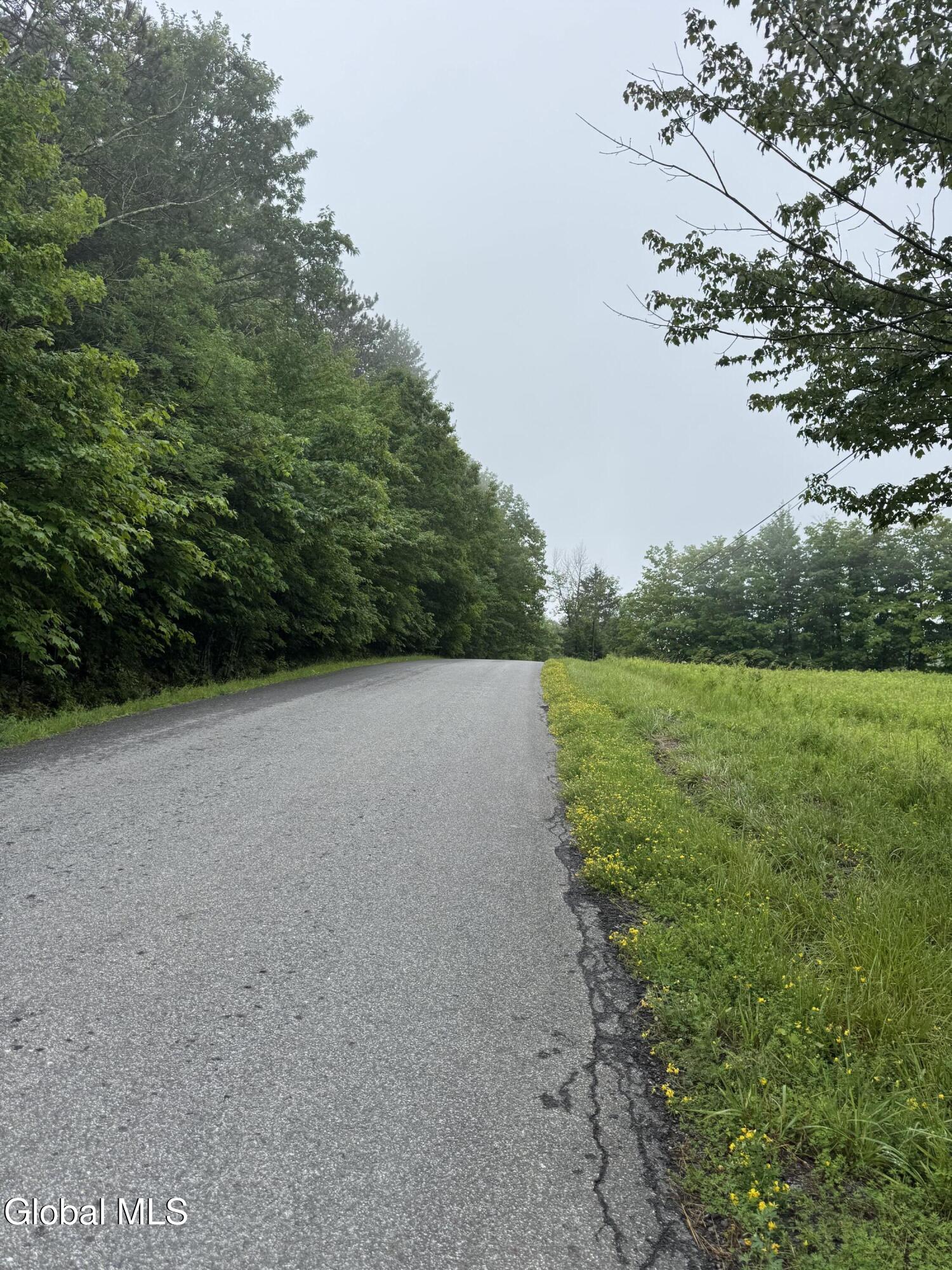 0 Cook Road Conesville NY 12076
