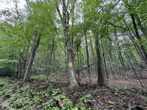 0 Cook Road Conesville NY 12076