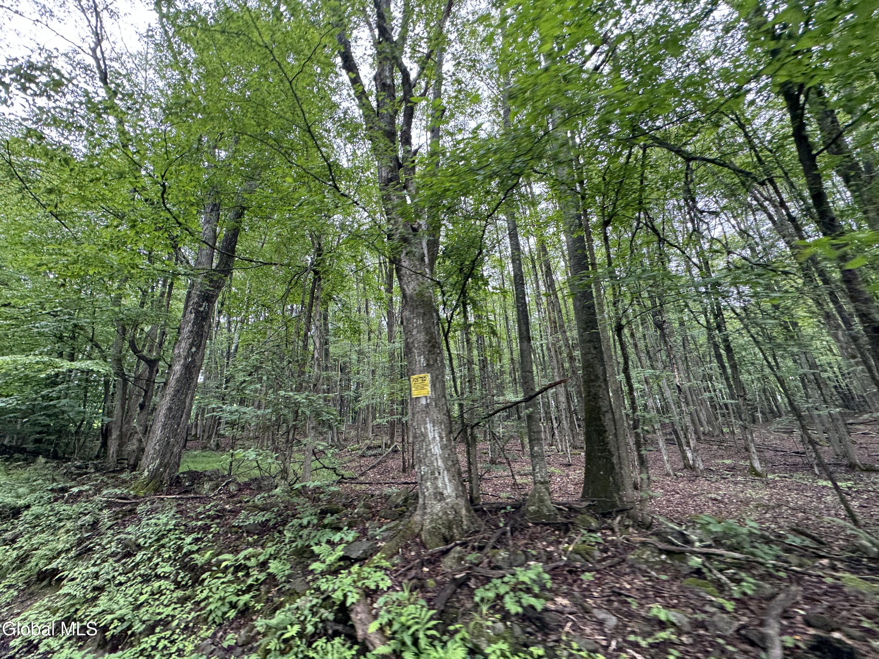 0 Cook Road Conesville NY 12076