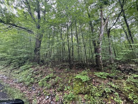 0 Cook Road Conesville NY 12076