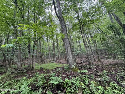 0 Cook Road Conesville NY 12076