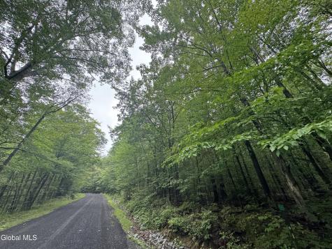 0 Cook Road Conesville NY 12076