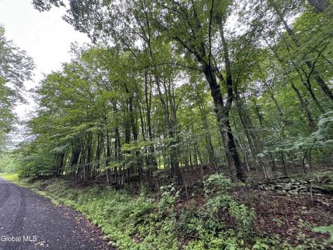0 Cook Road Conesville NY 12076