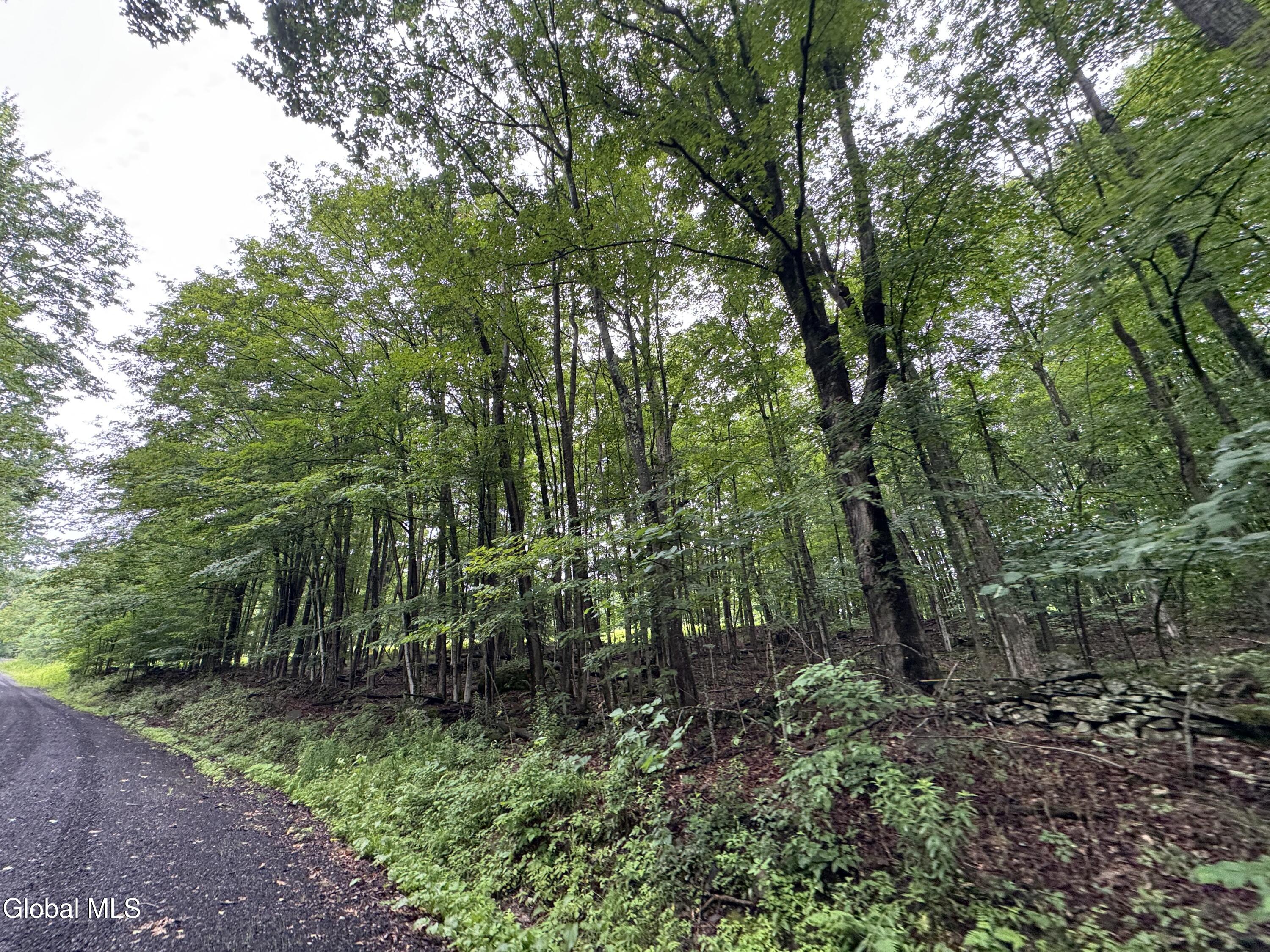 0 Cook Road Conesville NY 12076