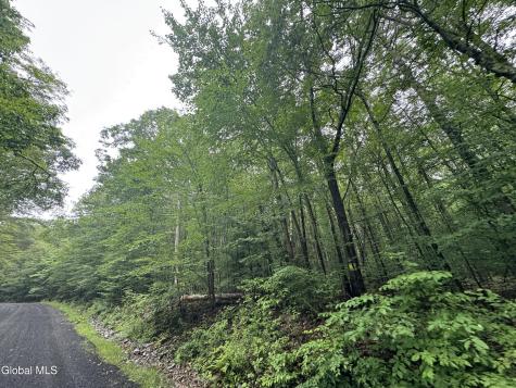 0 Cook Road Conesville NY 12076
