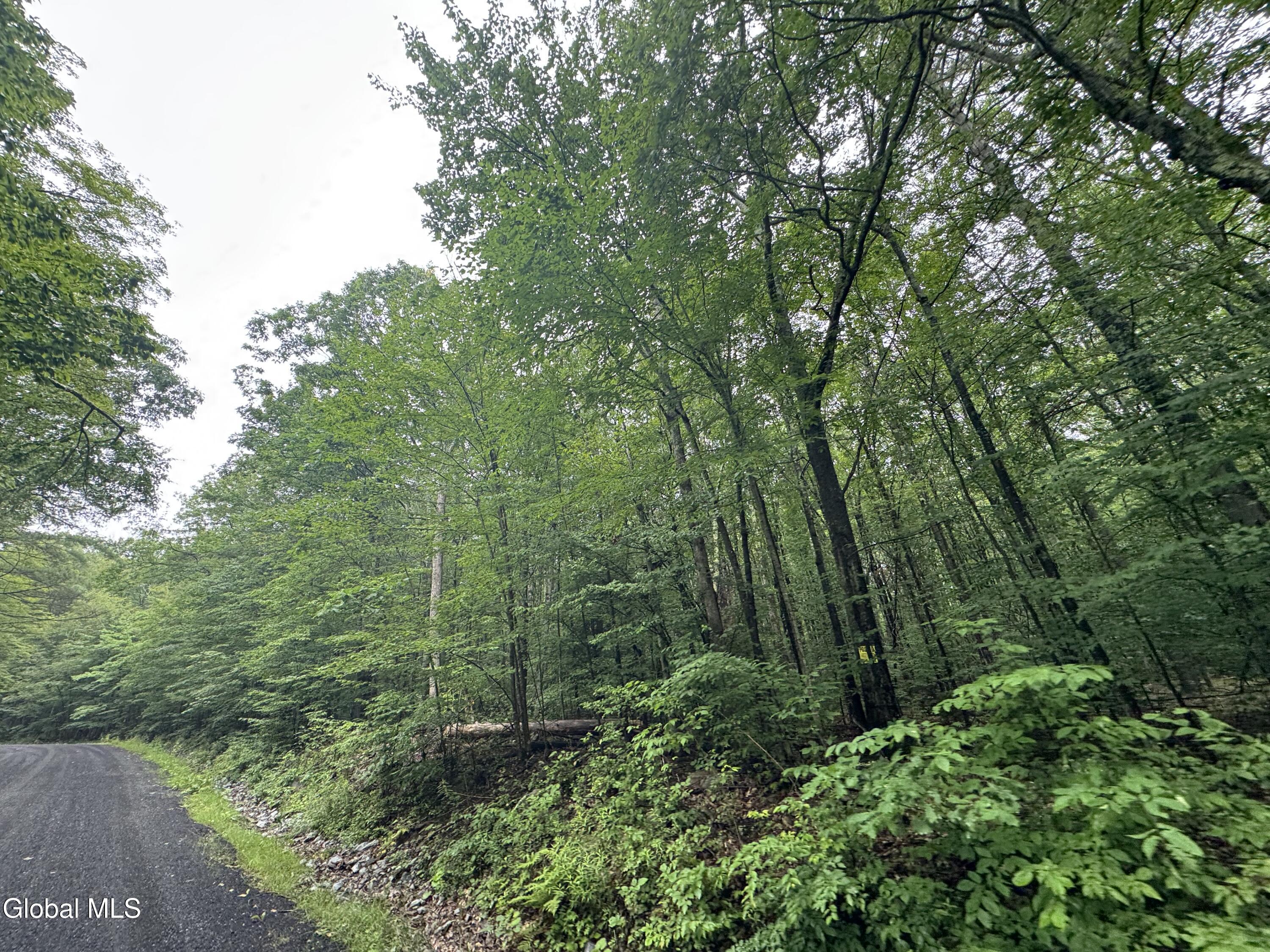0 Cook Road Conesville NY 12076