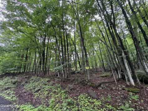 0 Cook Road Conesville NY 12076